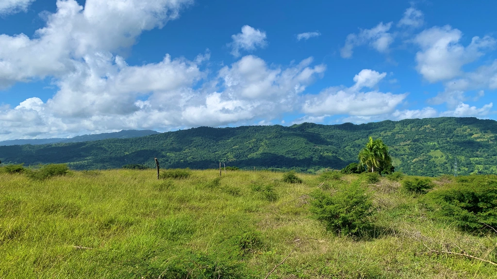 Terrenos en el Cupey en Venta - Solares - Palmas del Cupey